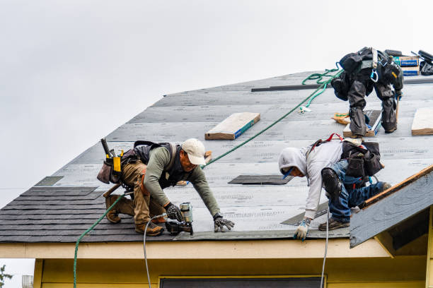 Professional Roofing technician working in Palisades Park, NJ